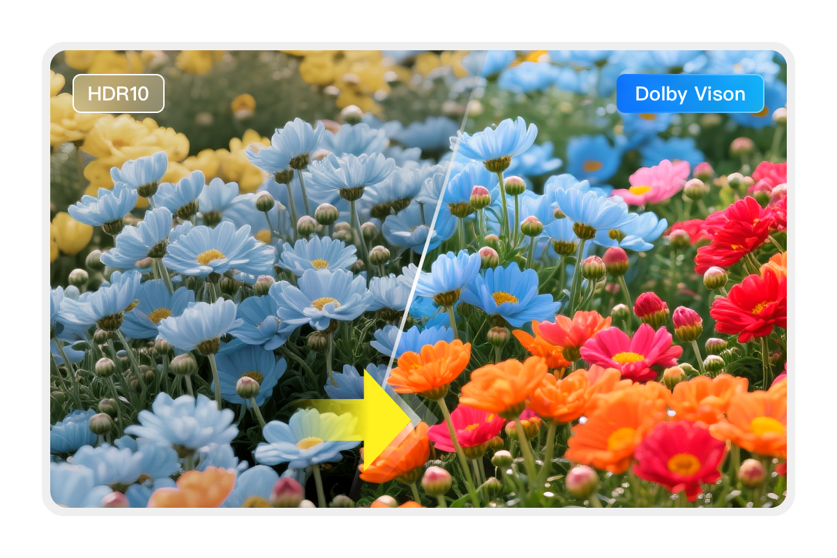 將 HDR10 升級至 Dolby Vision
