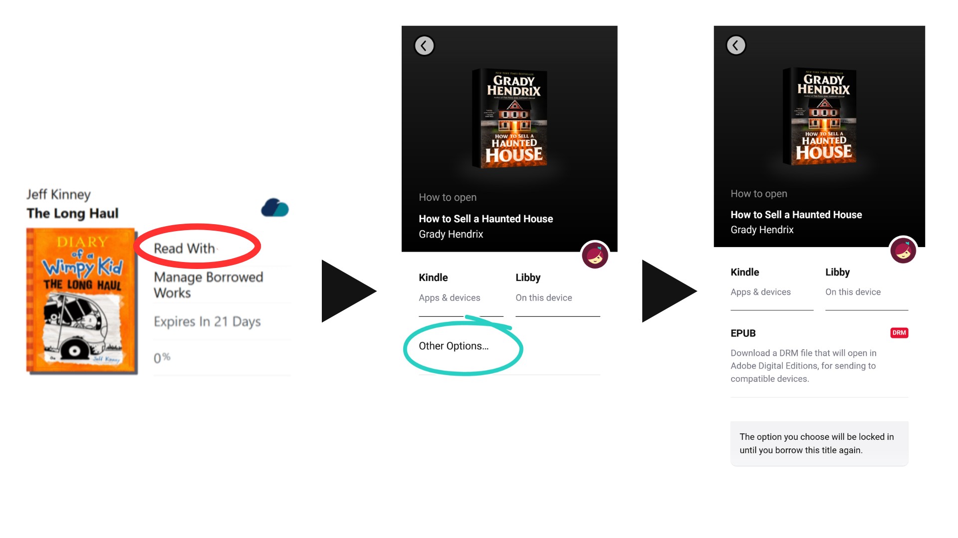 Read Libby Books Offline via ADE