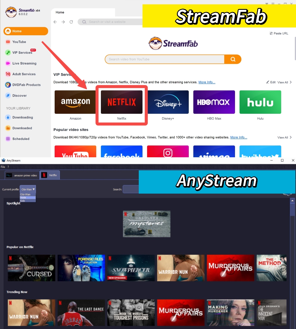 anystream vs streamfab, streamfab vs anystream