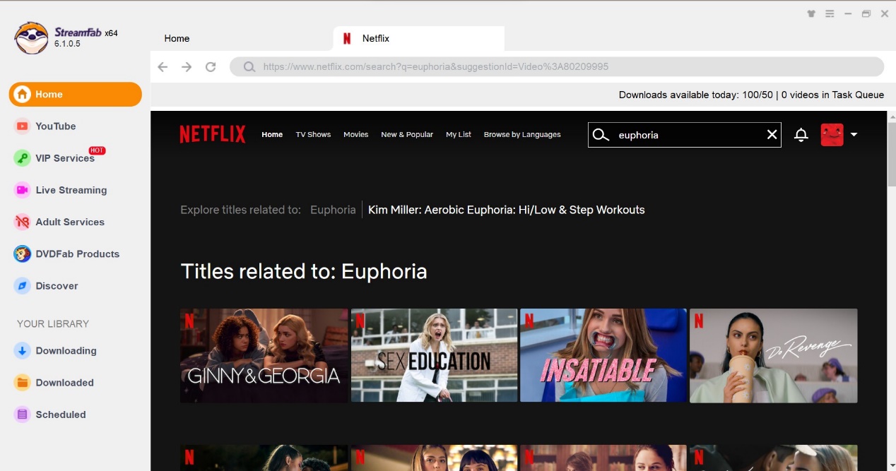 euphoria netflix:Wie kann ich Shows von Netflix herunterladen, um sie offline anzusehen?