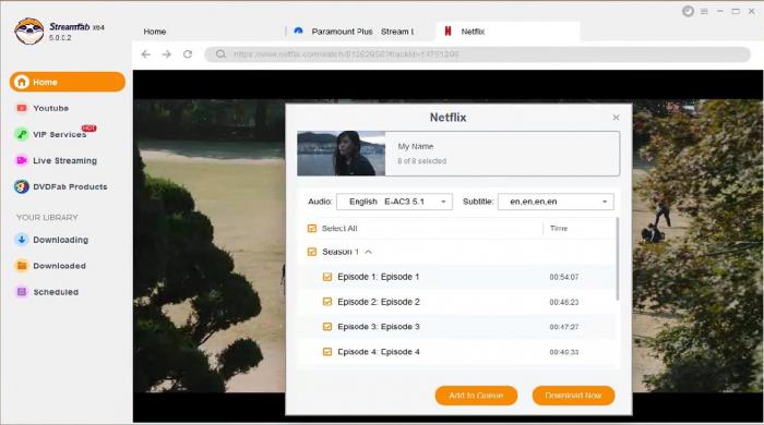 netflix video downloader:3. StreamFab Netflix Video Downloader: Ihre erste Wahl