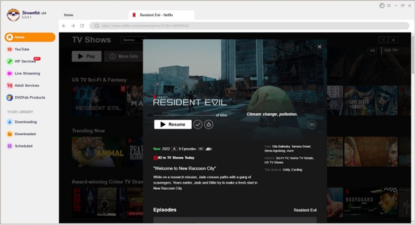 netflix offline schauen, netflix offline:Wie lädt man Netflix-Videos zum Netflix offline schauen auf den PC herunter?