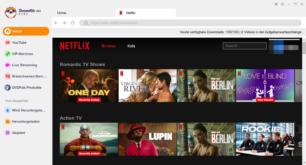 Download-Erfahrung vom StreamFab Netflix Downloader