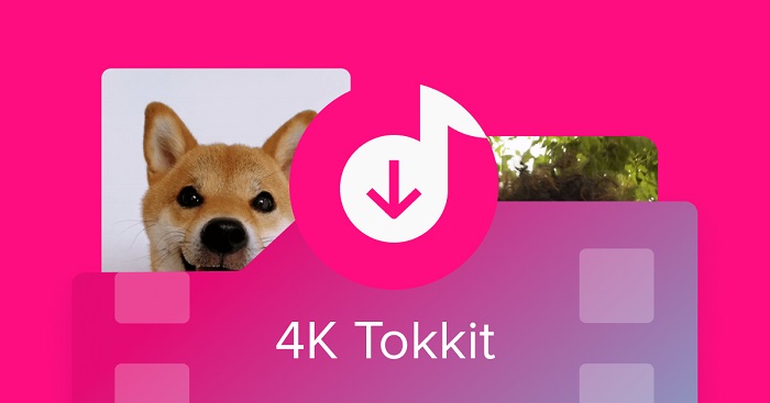 TikTok to MP4: 4KTokkit