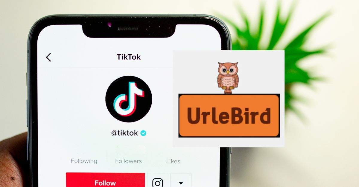 Be a Silent Viewer of All Your Favorite TikTok Videos: Use Urlebird