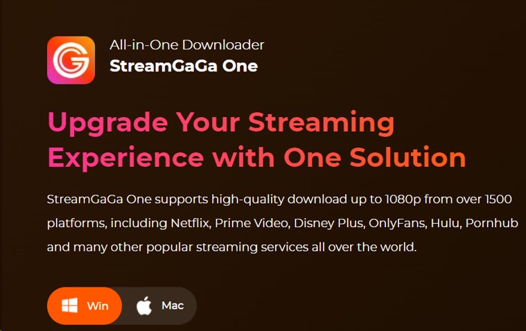 StreamGaga Video Downloader