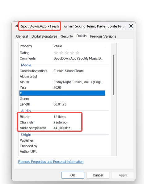 spotidownapp-album-metadata