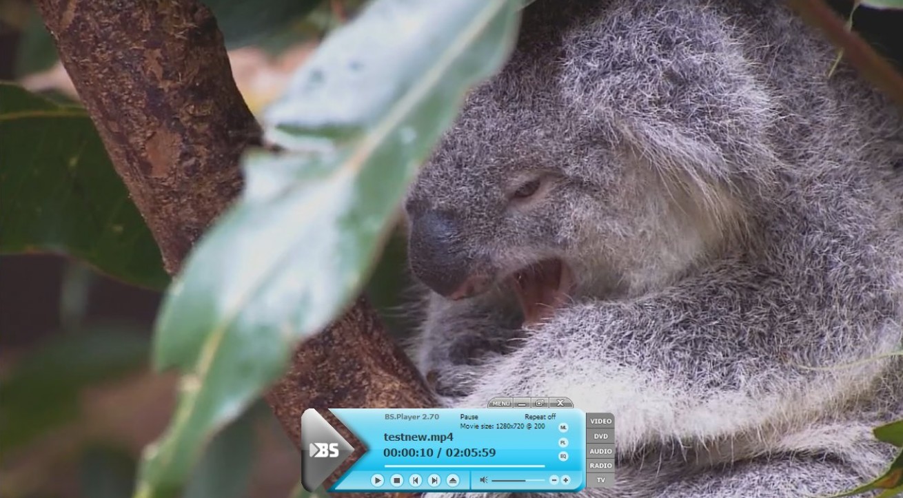 13 Best MP4 Players for Windows and mac: BSPlayer