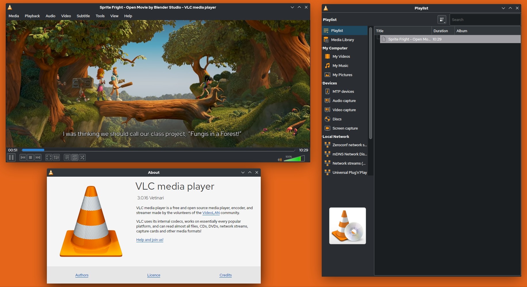 VLC Media Player: Free Windows Media Player Alternative