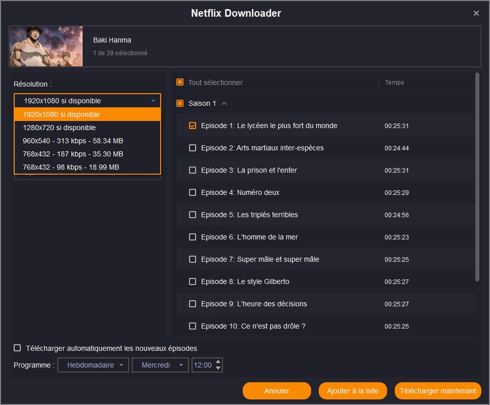 télécharger sur Netflix pour éviter les limites de téléchargement Netflix