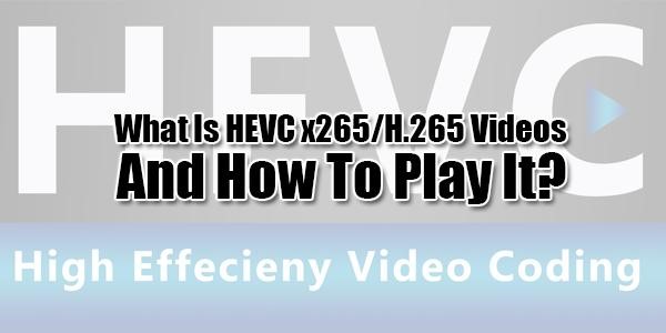 How to Play HEVC Videos - 5 Best HEVC Converters of 2025