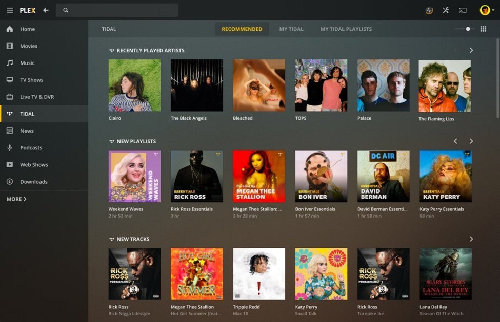 plex windows app:How does Plex for Windows Work?