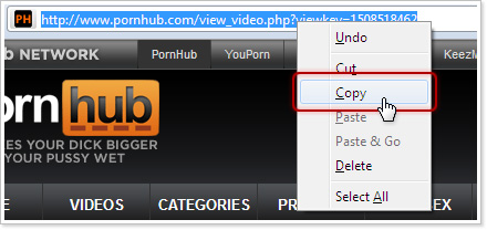 URL video downloader:How Can You Find the URL of a Pornhub Video?