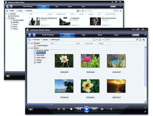 Stunning media library that Windows media player offers